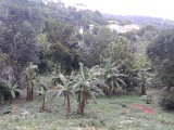 75 Cyprus Drive, Kingston / St. Andrew, Jamaica - Residential lot for Sale